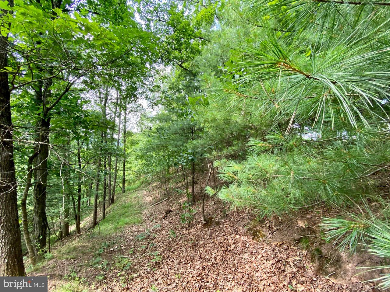 8/6 Wv 25411 Road, Unit ROUTE Berkeley Springs, WV 25411 - Photo 56 of 66