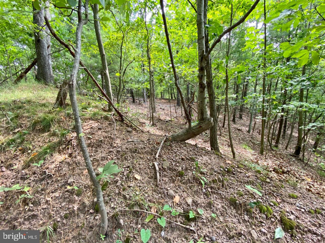 8/6 Wv 25411 Road, Unit ROUTE Berkeley Springs, WV 25411 - Photo 57 of 66