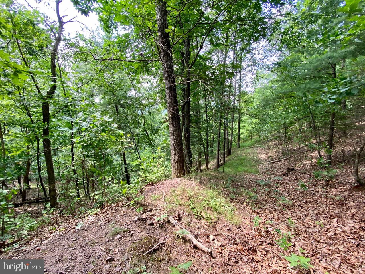 8/6 Wv 25411 Road, Unit ROUTE Berkeley Springs, WV 25411 - Photo 58 of 66