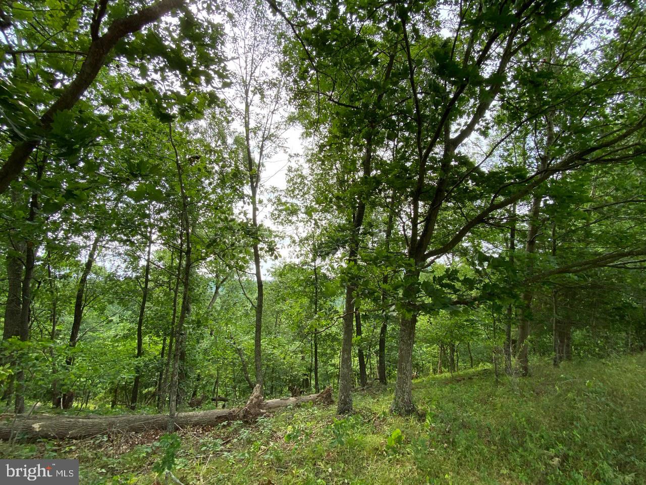 8/6 Wv 25411 Road, Unit ROUTE Berkeley Springs, WV 25411 - Photo 59 of 66