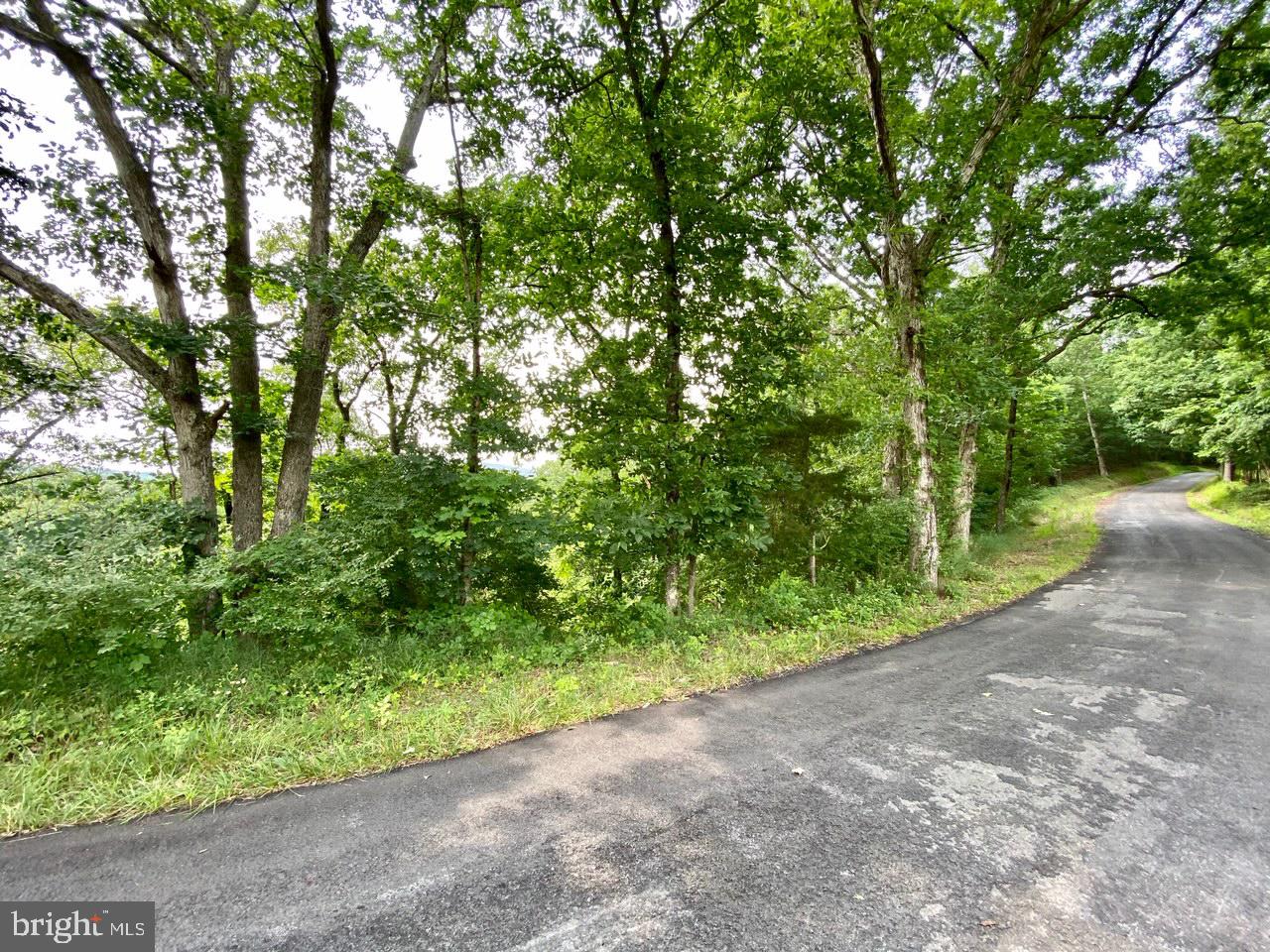 8/6 Wv 25411 Road, Unit ROUTE Berkeley Springs, WV 25411 - Photo 61 of 66