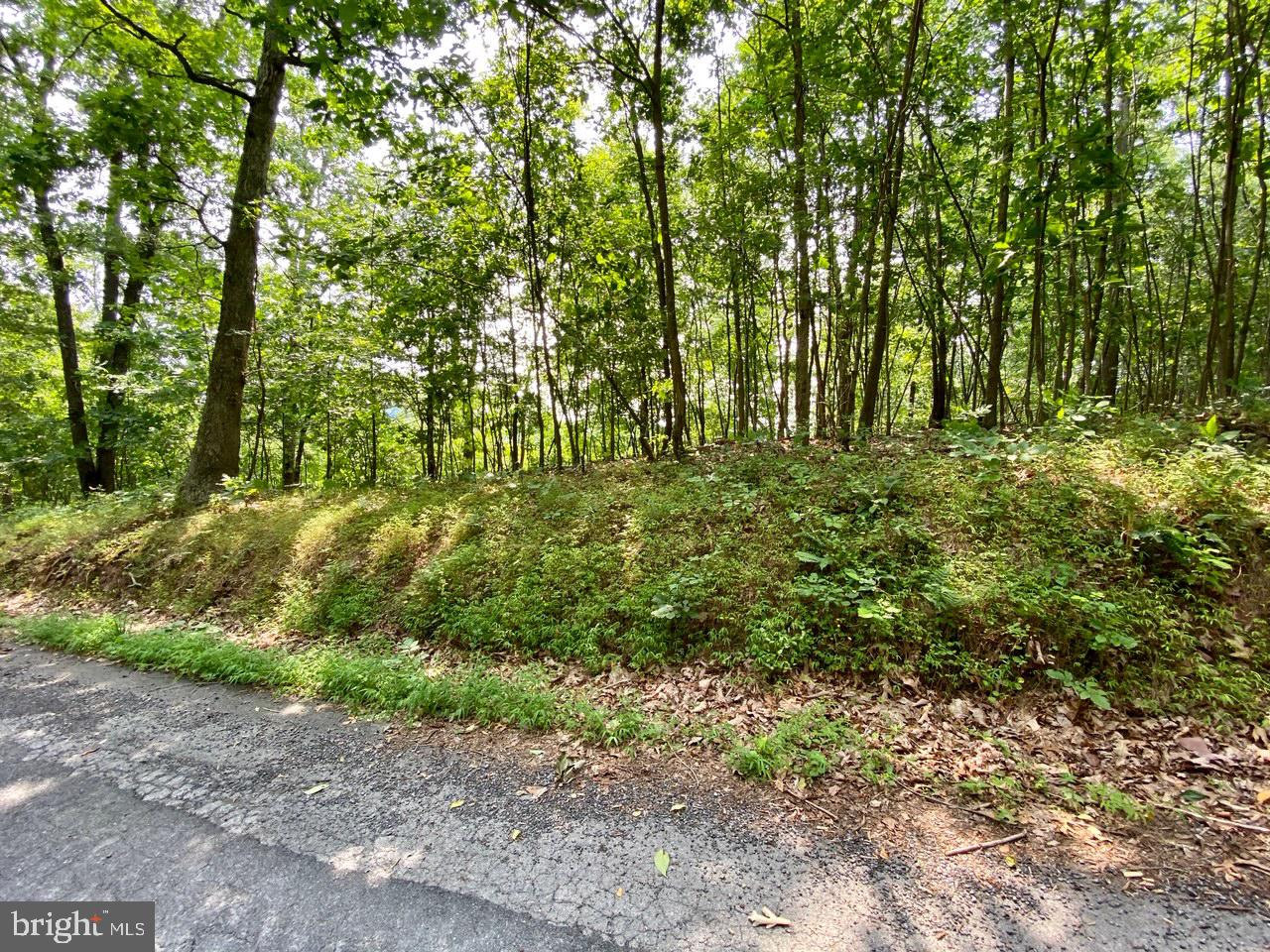 8/6 Wv 25411 Road, Unit ROUTE Berkeley Springs, WV 25411 - Photo 63 of 66