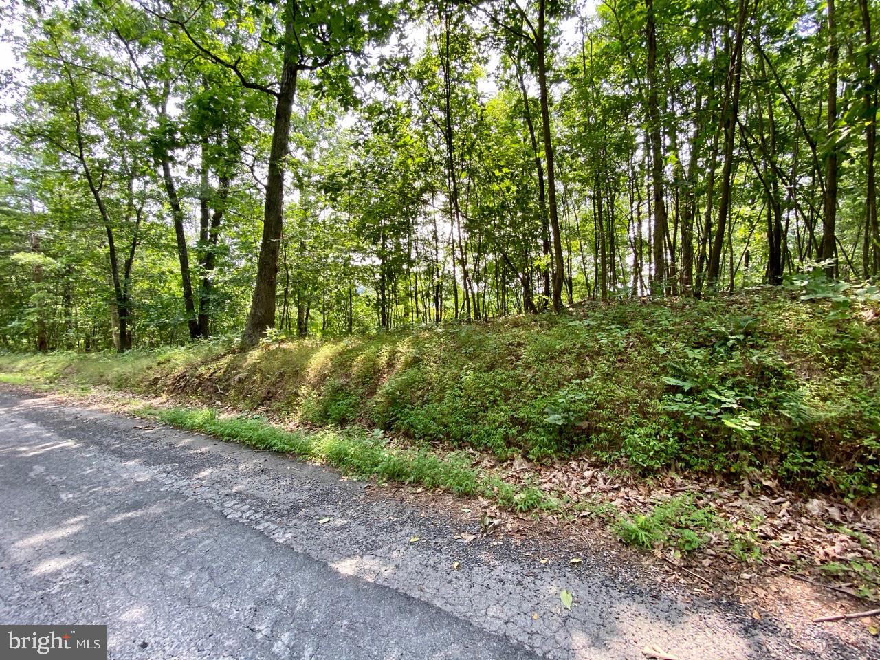 8/6 Wv 25411 Road, Unit ROUTE Berkeley Springs, WV 25411 - Photo 64 of 66