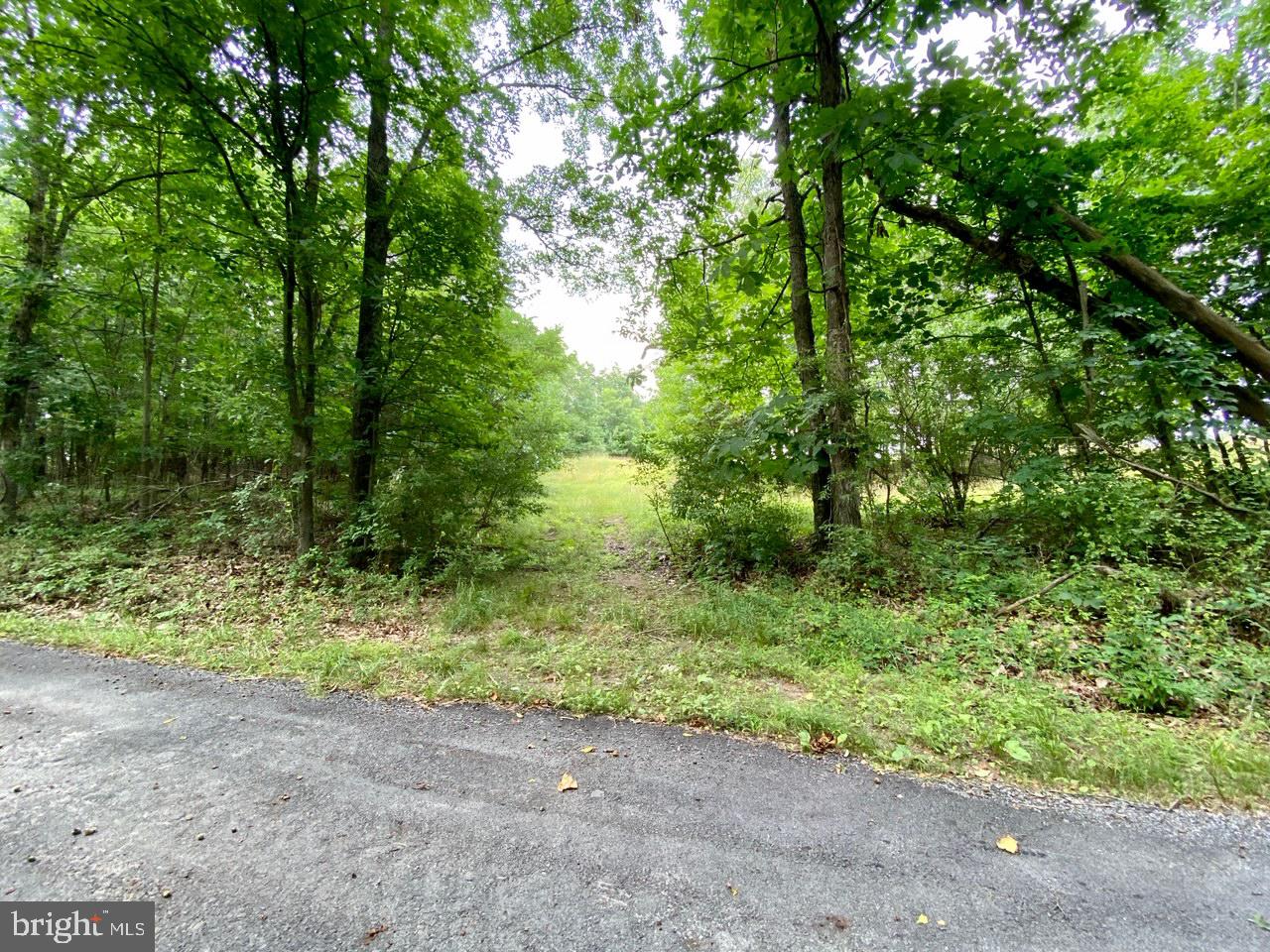 8/6 Wv 25411 Road, Unit ROUTE Berkeley Springs, WV 25411 - Photo 65 of 66