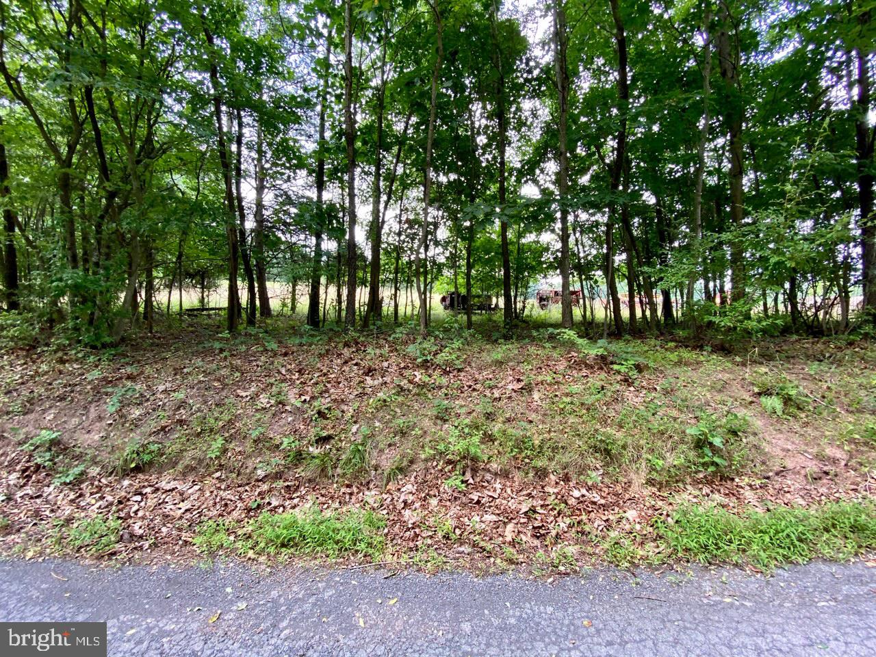 8/6 Wv 25411 Road, Unit ROUTE Berkeley Springs, WV 25411 - Photo 66 of 66
