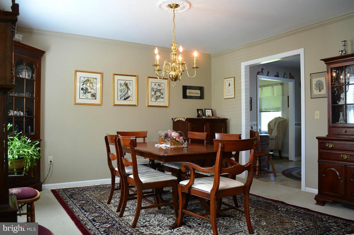 58 Sego Sago Road Manheim, PA 17545 - Photo 14 of 56