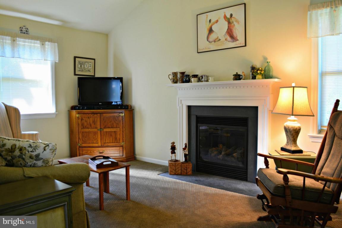 58 Sego Sago Road Manheim, PA 17545 - Photo 16 of 56
