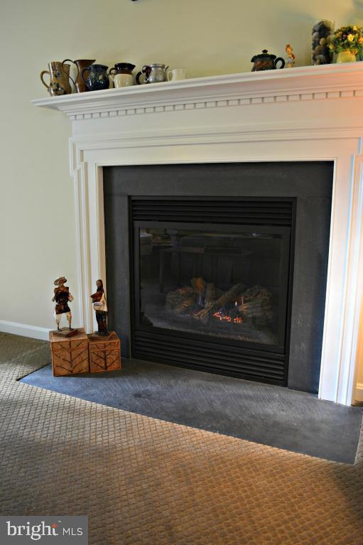 58 Sego Sago Road Manheim, PA 17545 - Photo 17 of 56