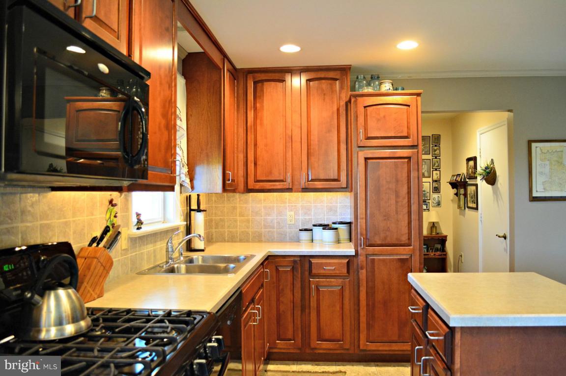 58 Sego Sago Road Manheim, PA 17545 - Photo 6 of 56