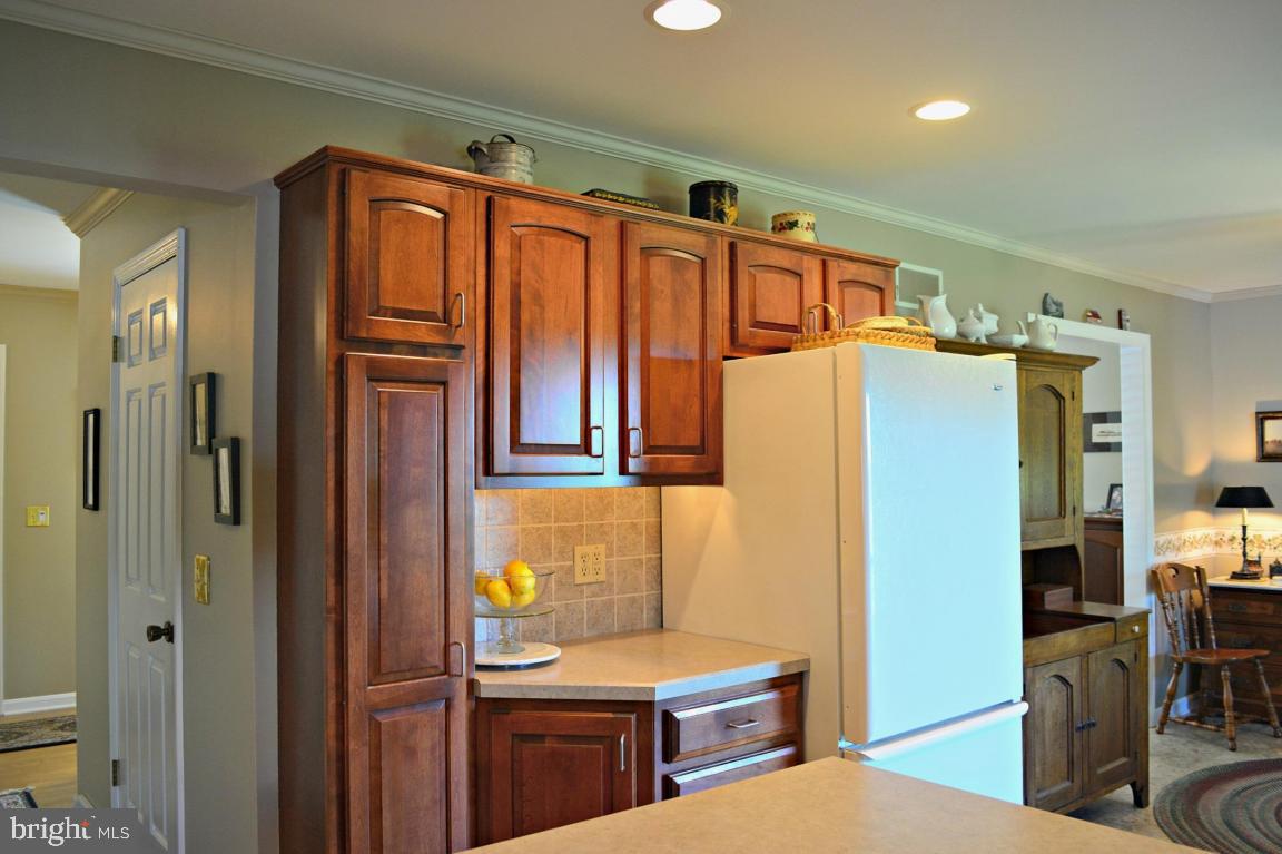 58 Sego Sago Road Manheim, PA 17545 - Photo 7 of 56