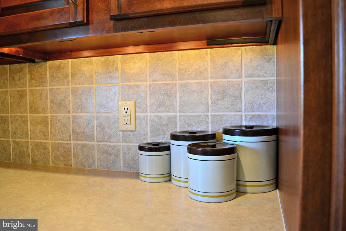 58 Sego Sago Road Manheim, PA 17545 - Photo 8 of 56