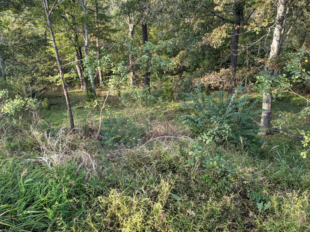 58 Farr Road Natchez, MS 39120 - Photo 12 of 45 Photo 12