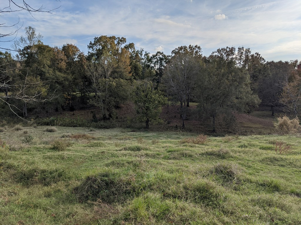 58 Farr Road Natchez, MS 39120 - Photo 14 of 45 Photo 14