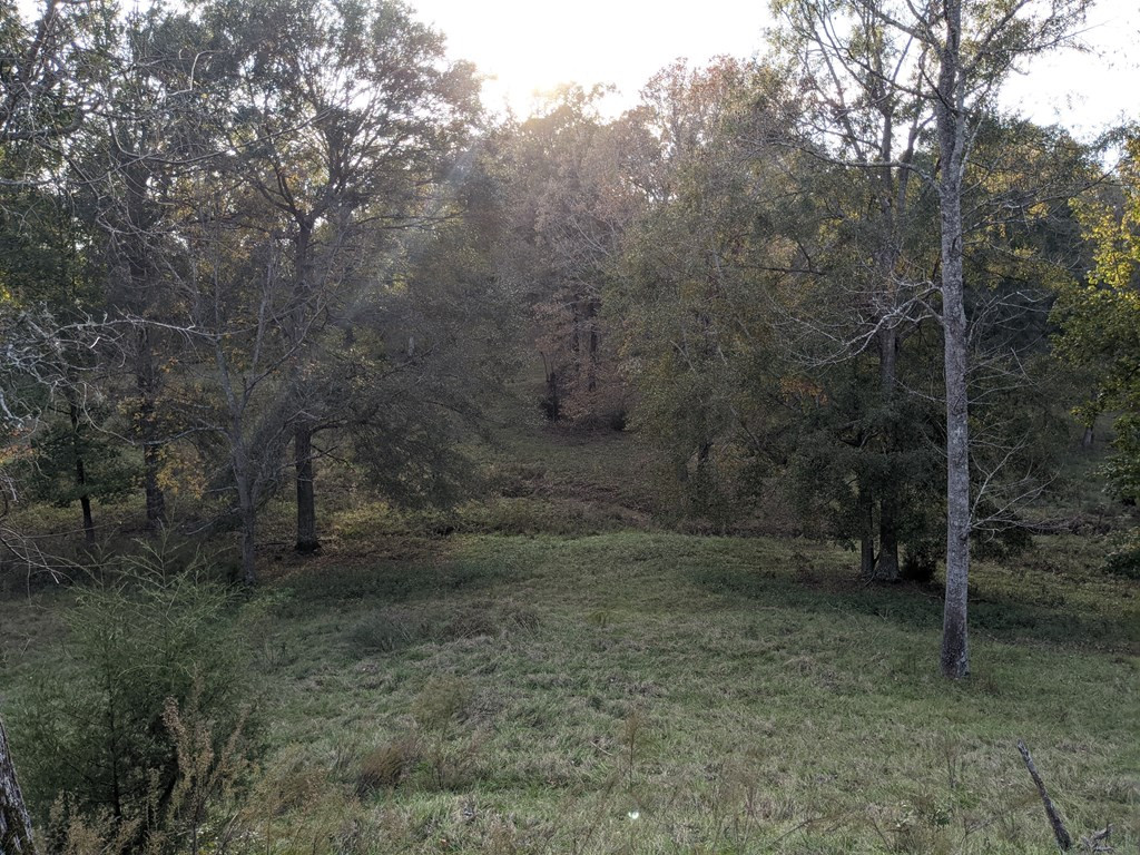 58 Farr Road Natchez, MS 39120 - Photo 18 of 45 Photo 18