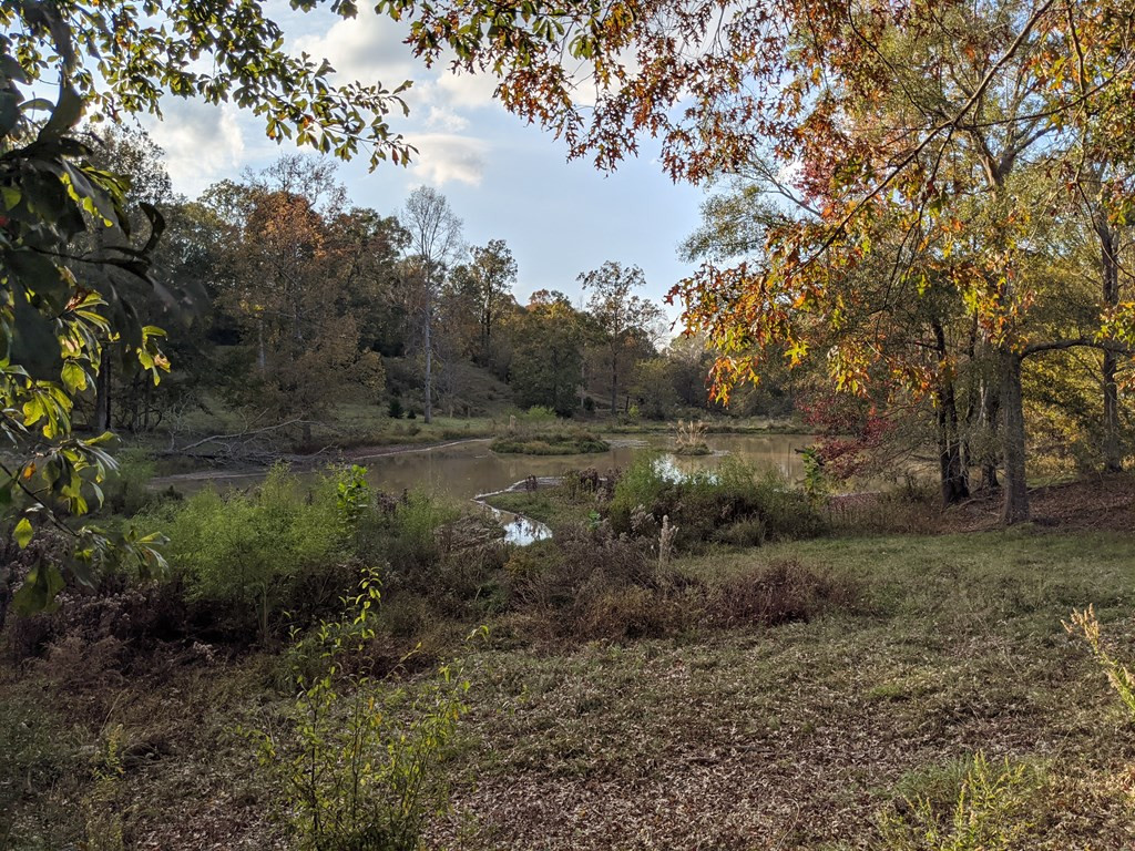 58 Farr Road Natchez, MS 39120 - Photo 24 of 45 Photo 24