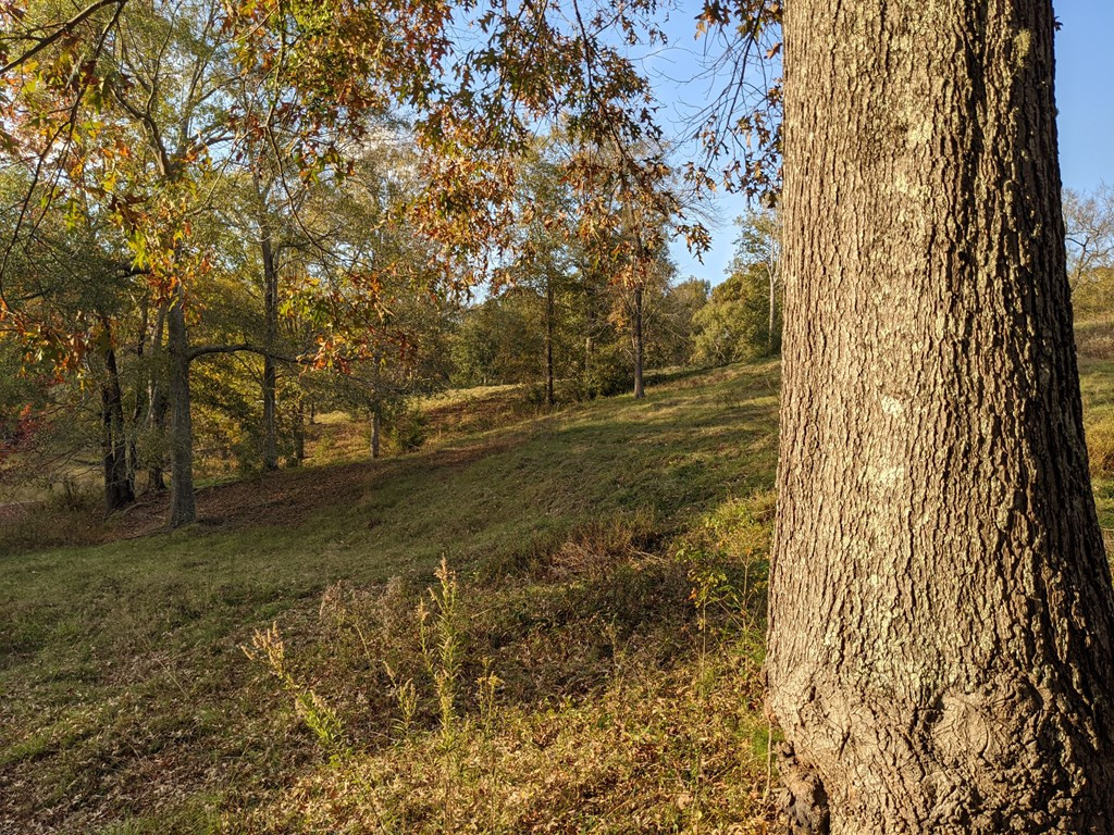 58 Farr Road Natchez, MS 39120 - Photo 25 of 45 Photo 25