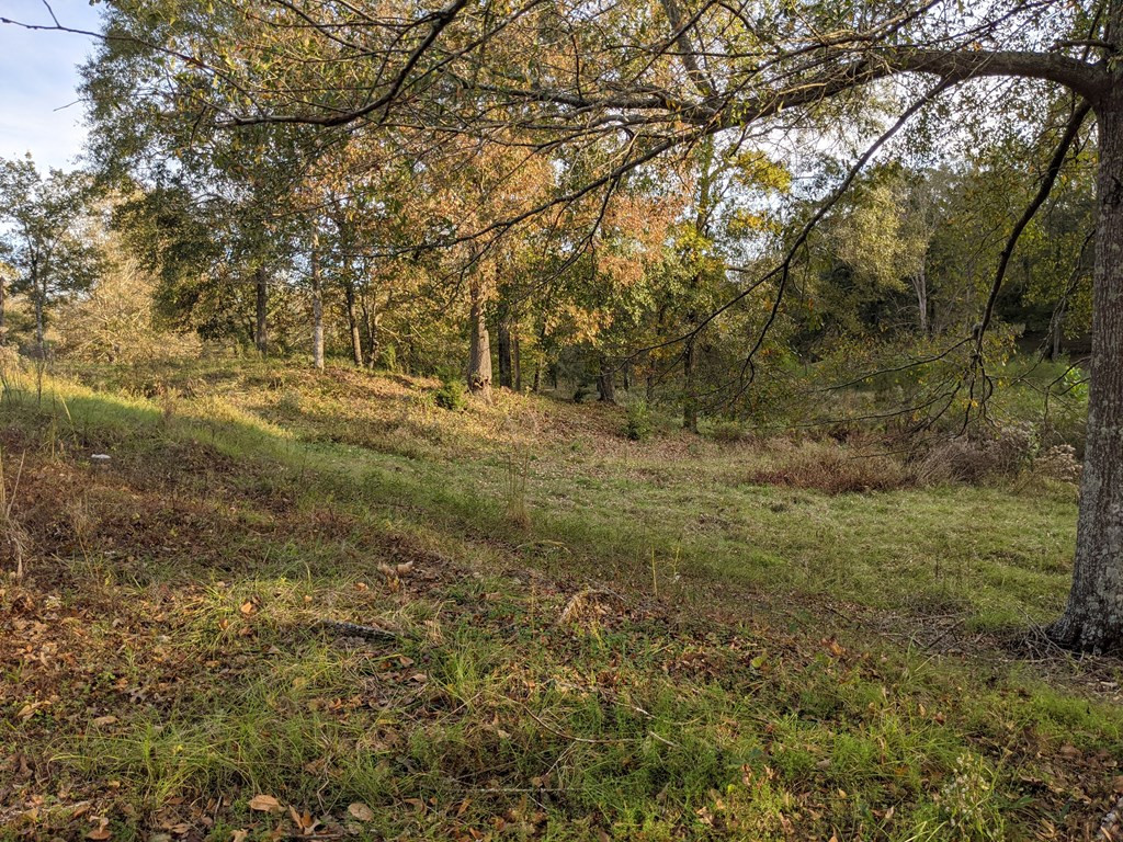 58 Farr Road Natchez, MS 39120 - Photo 27 of 45 Photo 27