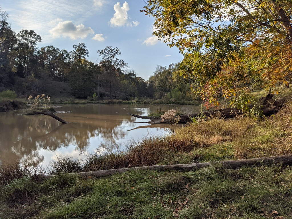 58 Farr Road Natchez, MS 39120 - Photo 29 of 45 Photo 29