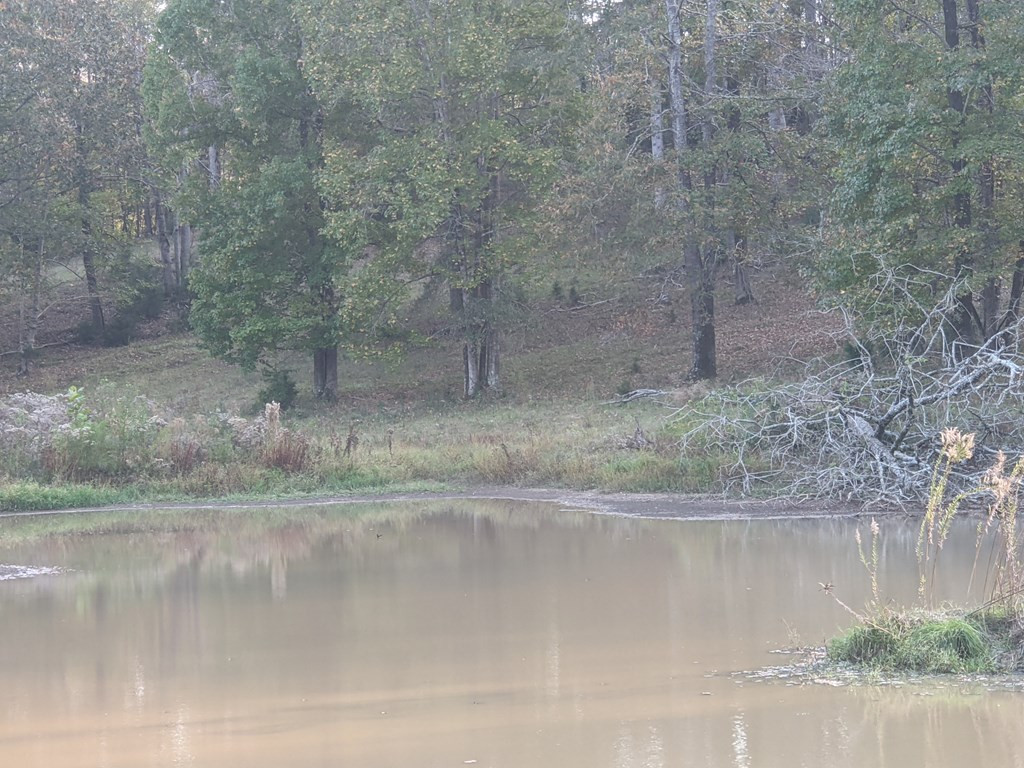 58 Farr Road Natchez, MS 39120 - Photo 33 of 45 Photo 33