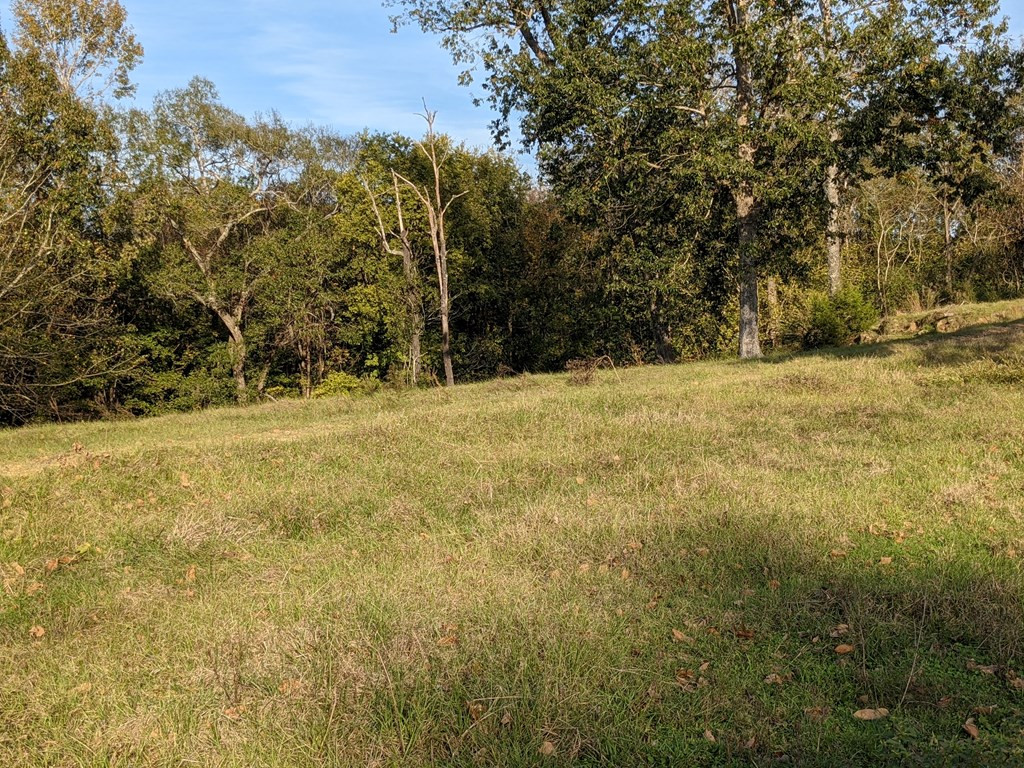 58 Farr Road Natchez, MS 39120 - Photo 35 of 45 Photo 35