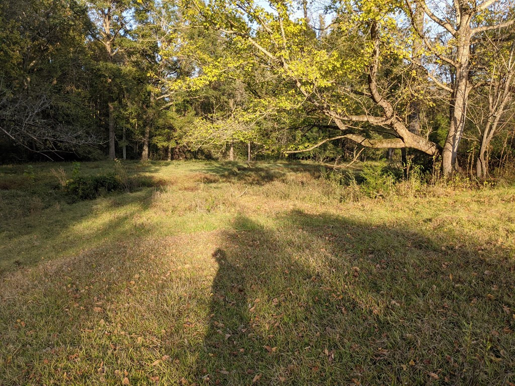 58 Farr Road Natchez, MS 39120 - Photo 39 of 45 Photo 39