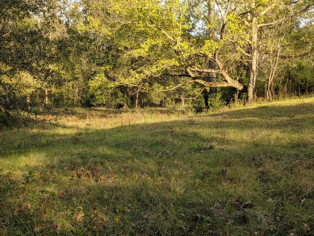 58 Farr Road Natchez, MS 39120 - Photo 40 of 45 Photo 40