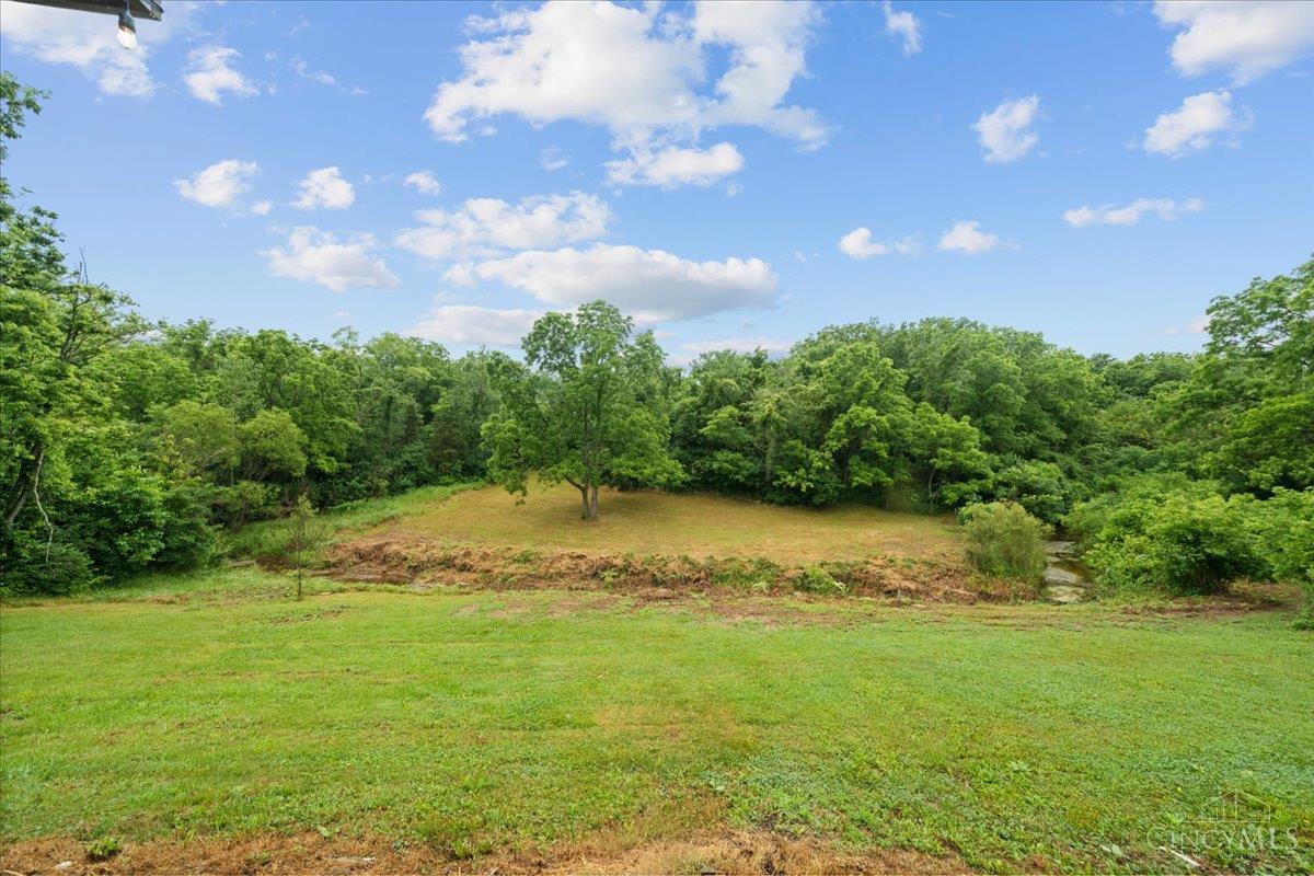 2972 Lucas Road Georgetown, OH 45121 - Photo 74 of 99