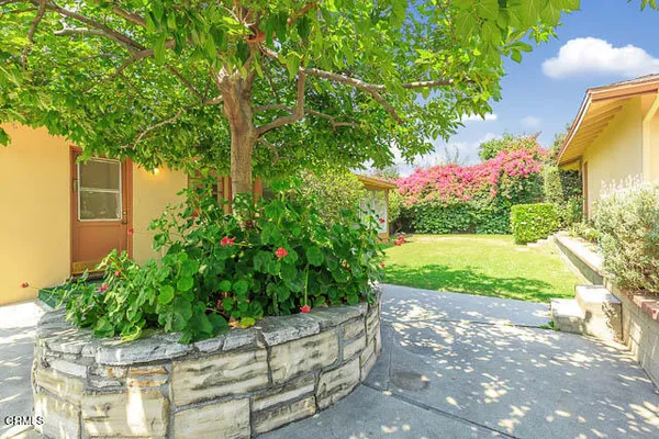 a view of a backyard with plants