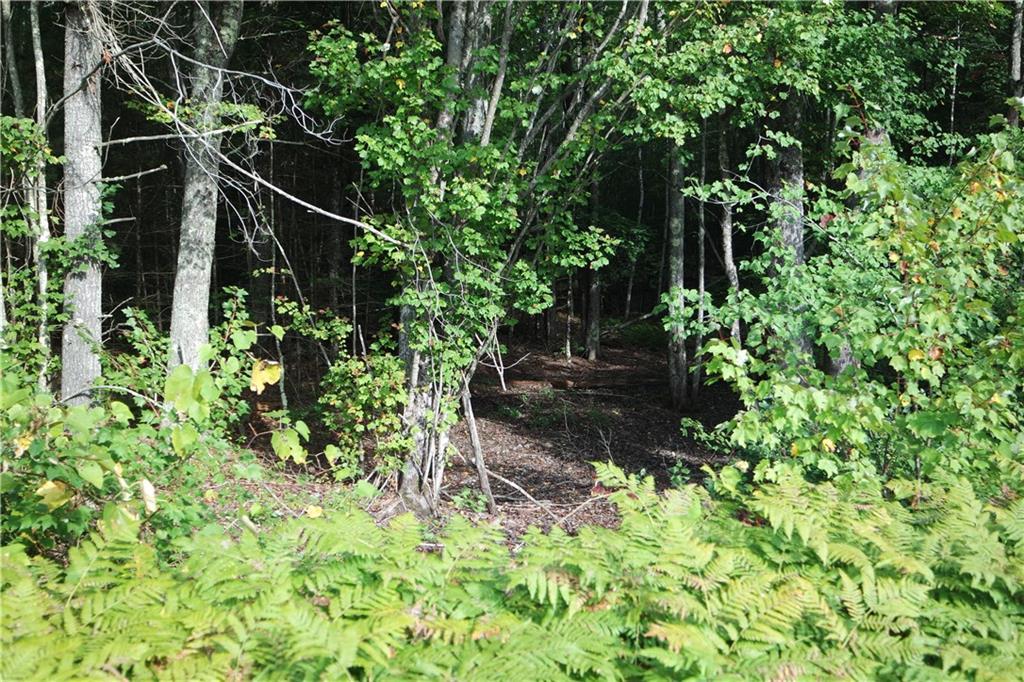 Lot 2 Cheney Woods Rd Wells Wells, ME 04090 - Photo 4 of 8 Lot 2 Cheney Woods Road