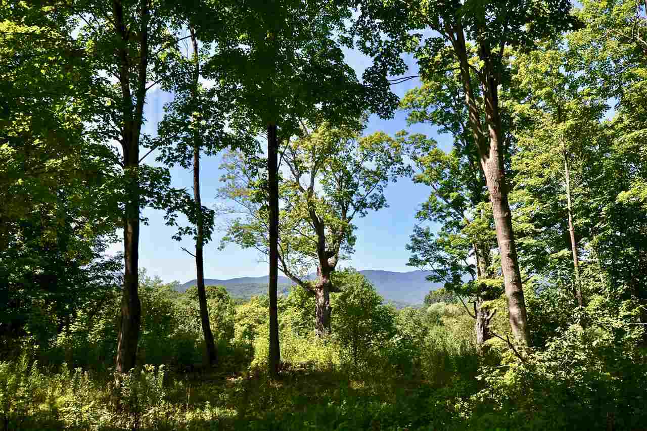 0 The Knolls Road Waterbury Center, VT 05677 - Photo 4 of 12 Gallery Image 4