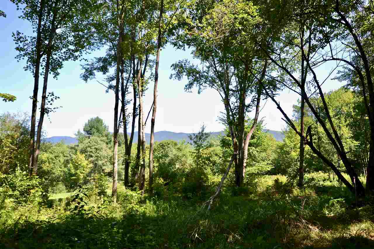 0 The Knolls Road Waterbury Center, VT 05677 - Photo 8 of 12 Gallery Image 8