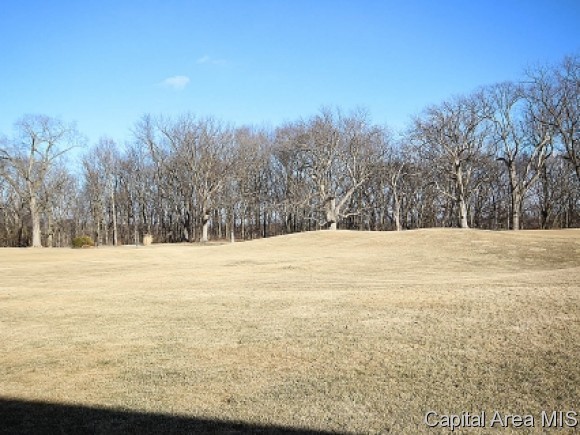 2401 Rosewell Point Springfield, IL 62711 - Photo 23 of 23