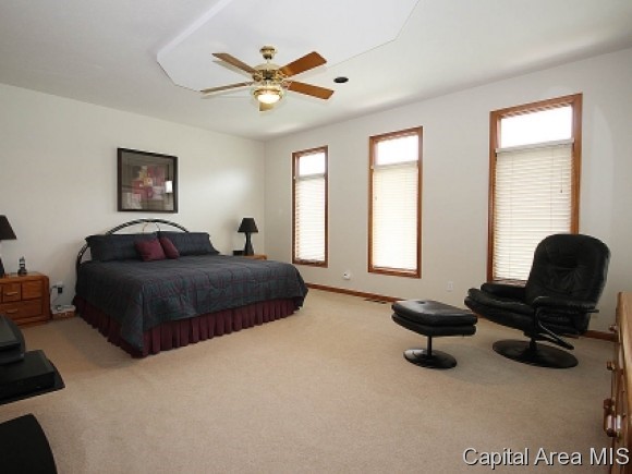 2401 Rosewell Point Springfield, IL 62711 - Photo 8 of 23