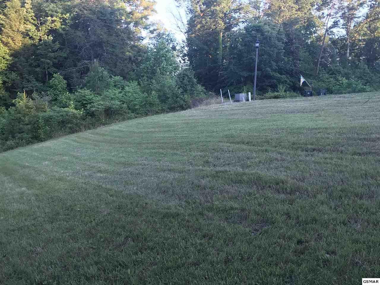 17 Riceland Drive Sevierville, TN 37862 - Photo 5 of 12