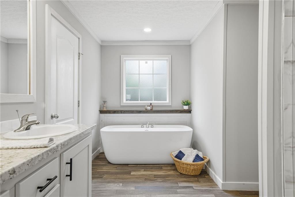239 Fairview Road Ball Ground, GA 30107 - Photo 33 of 41 a spacious bathroom with a granite countertop tub and a sink