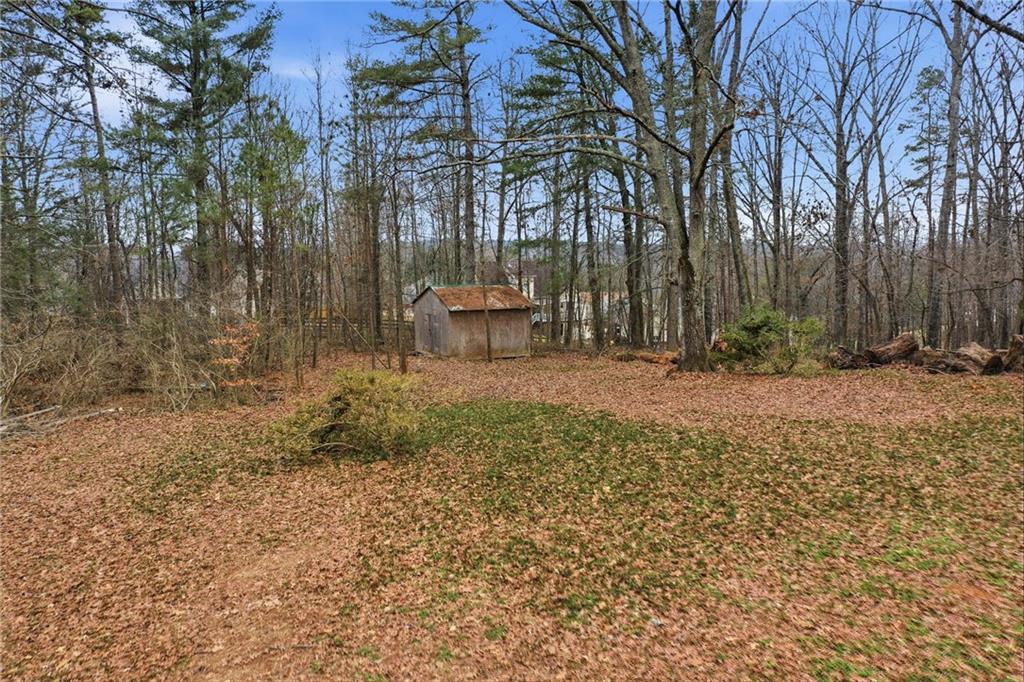 239 Fairview Road Ball Ground, GA 30107 - Photo 7 of 41 a backyard of a house with lots of green space