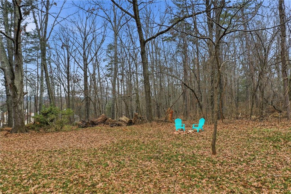 239 Fairview Road Ball Ground, GA 30107 - Photo 10 of 41 a view of outdoor space with trees