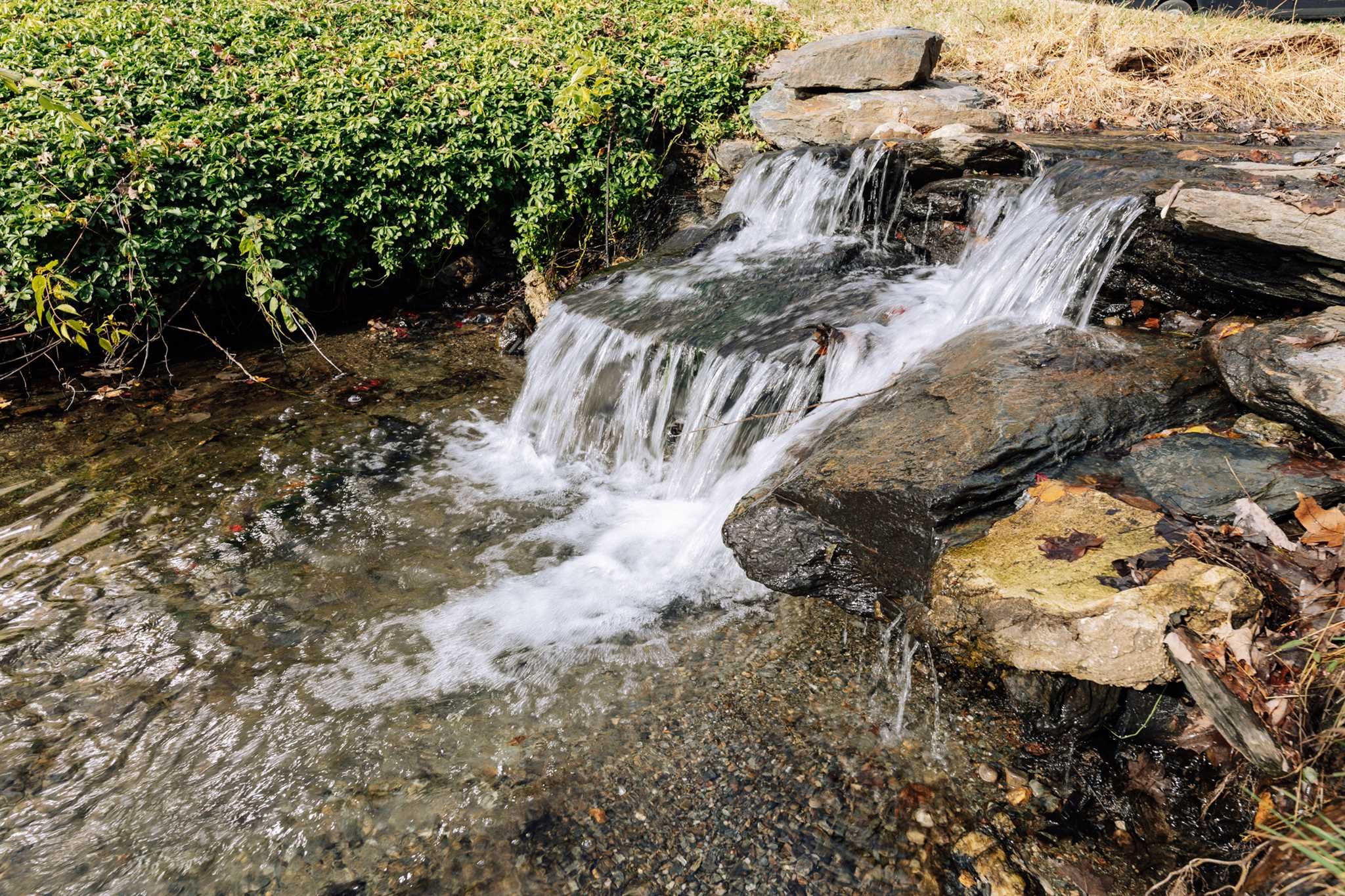 18 Altamont Road Millbrook, NY 12545 - Photo 11 of 35 a view of a yard with trees