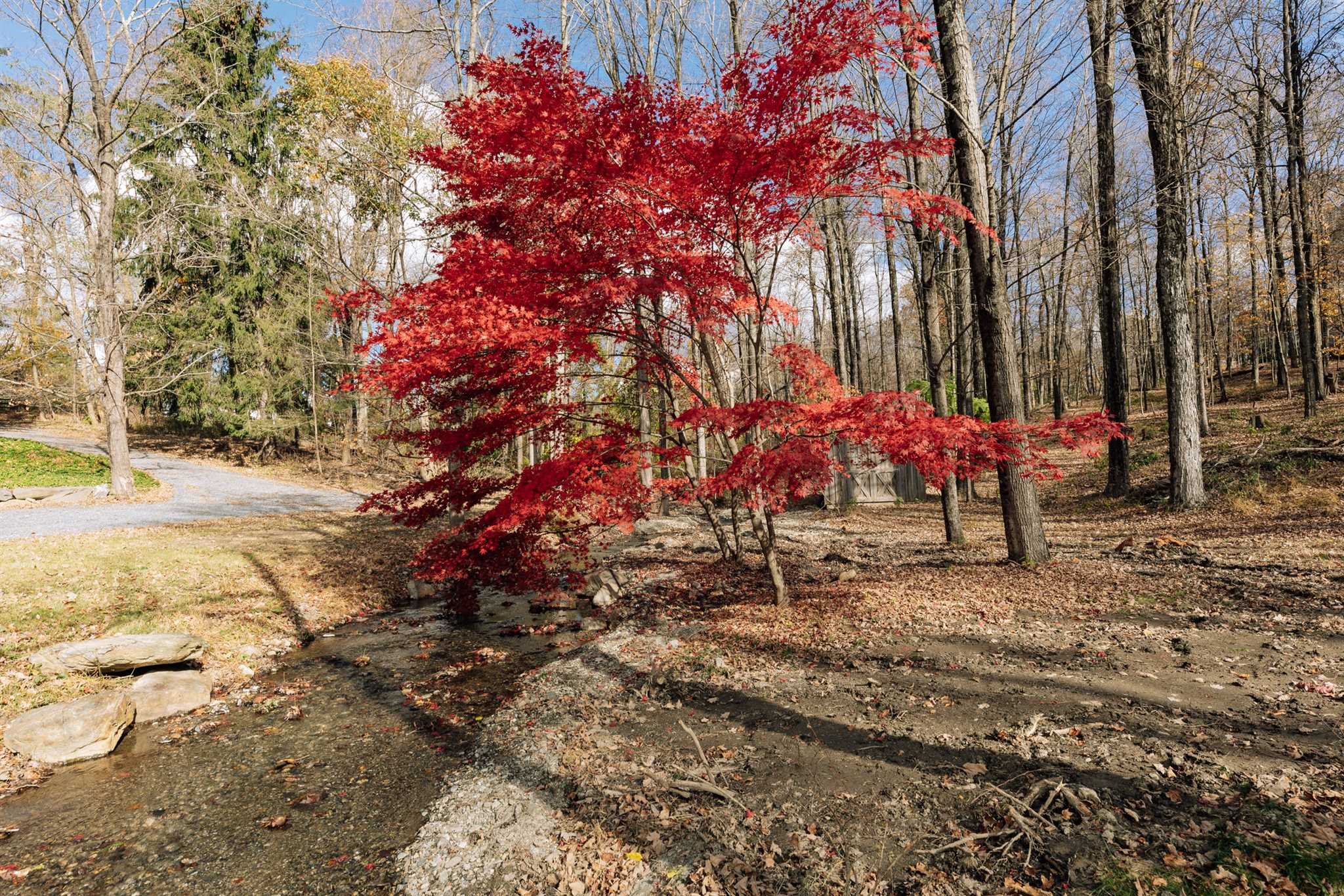 18 Altamont Road Millbrook, NY 12545 - Photo 10 of 35 a view of a park with large trees