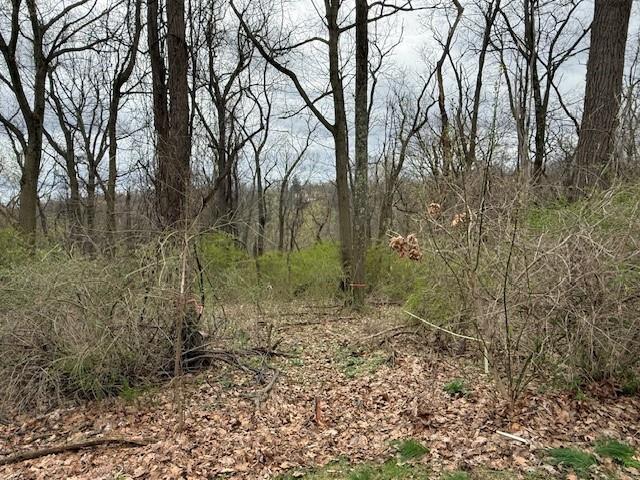 1765 Locust Road Sewickley, PA 15143 - Photo 13 of 19 a view of a forest with trees in the background