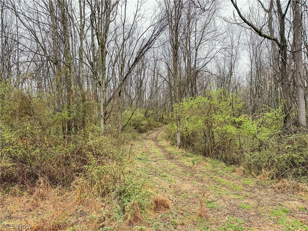 Buck Hill Road Frazeysburg, OH 43822 - Photo 3 of 24