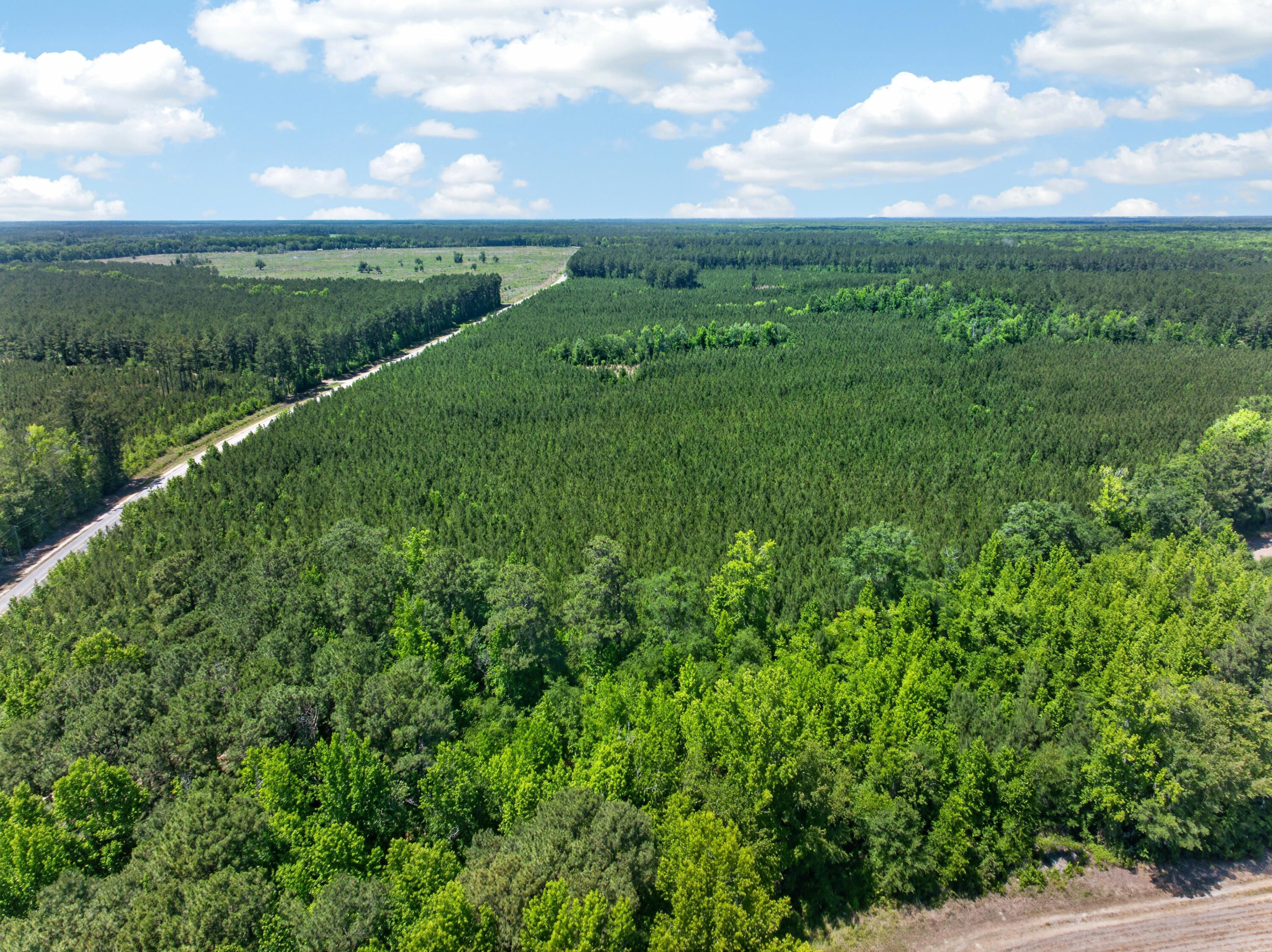 5120 North Brewington Road, Unit 10 Alcolu, SC 29001 - Photo 38 of 40 DJI_20260521133428_0060_D