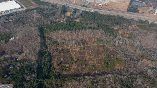 a view of a forest