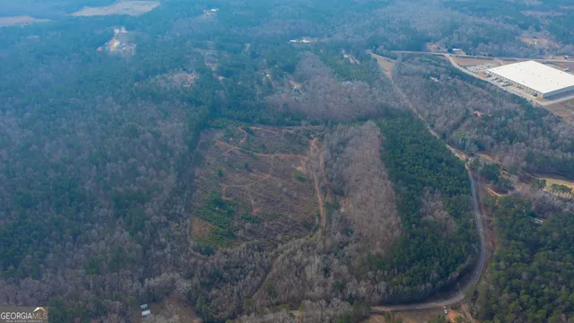 a view of a dry yard