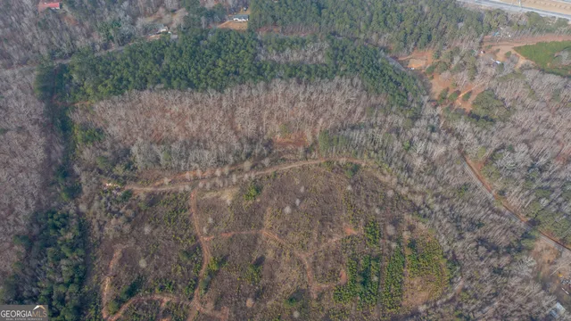 a view of a dry yard
