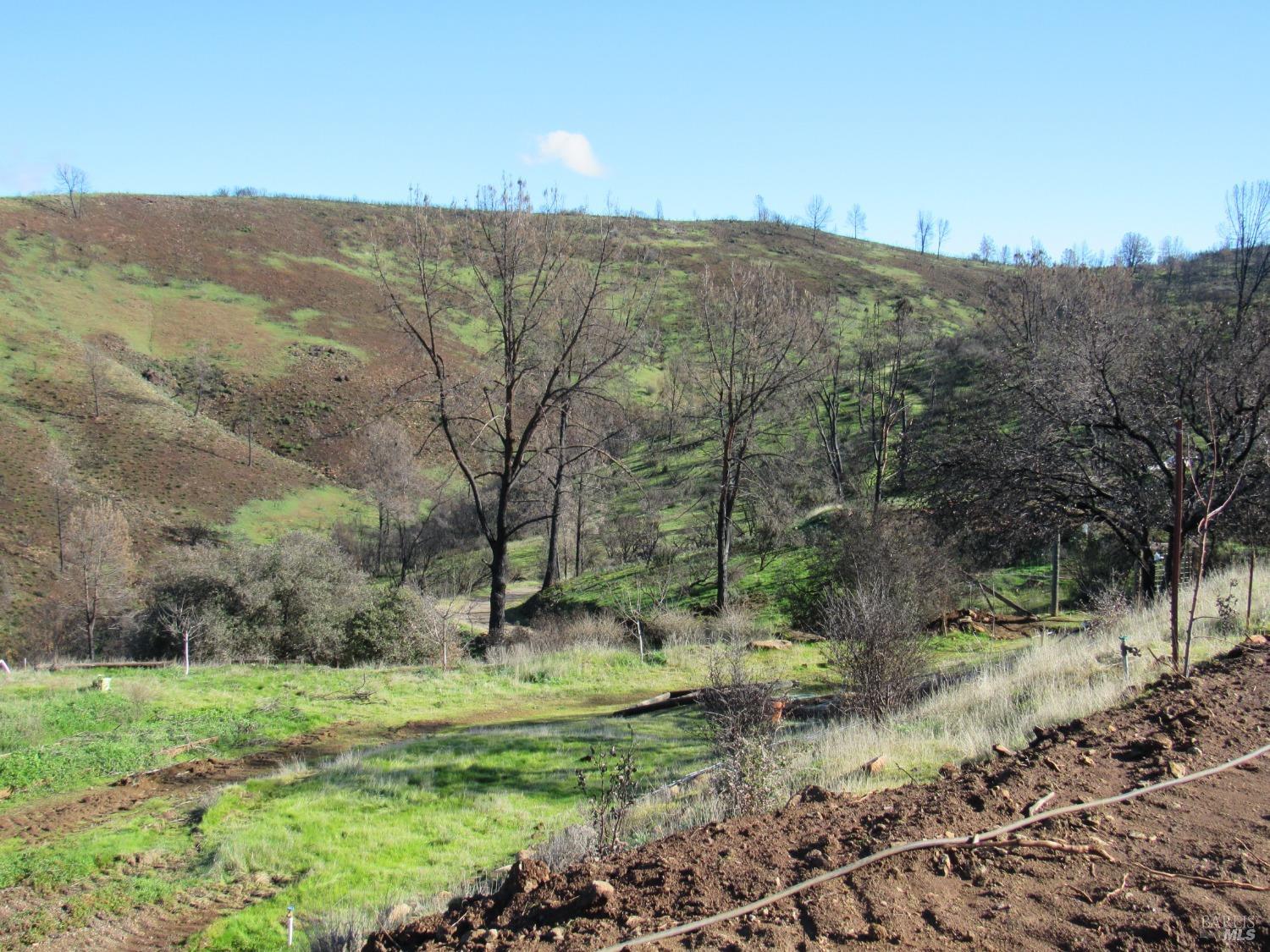 2065 Stagecoach Canyon Road Pope Valley, CA 94567 - Photo 1 of 36 a view of a lush green field with mountains in the background