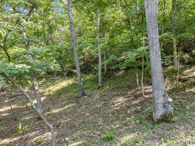 $55,000 | 16501 Meadow Hawk Drive, Glencoe, MO 63038