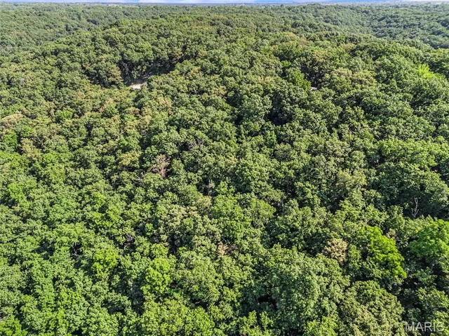 $55,000 | 16501 Meadow Hawk Drive, Glencoe, MO 63038