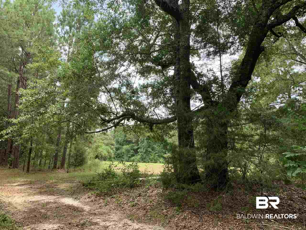 1178 Dry Lake Road Luverne, AL 36049 - Photo 32 of 50