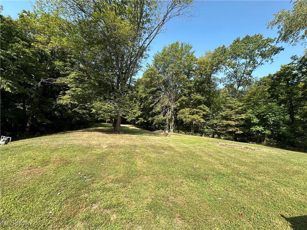 2372 Oak Grv Ext Road St. Marys, WV 26170 - Photo 23 of 23 Back viewof yard